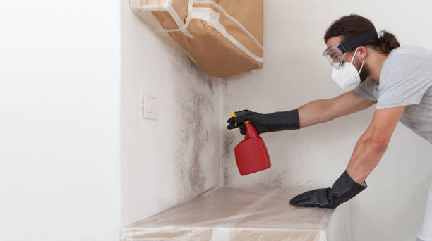 Professional Mold Removal technician working in Morrisville, NC