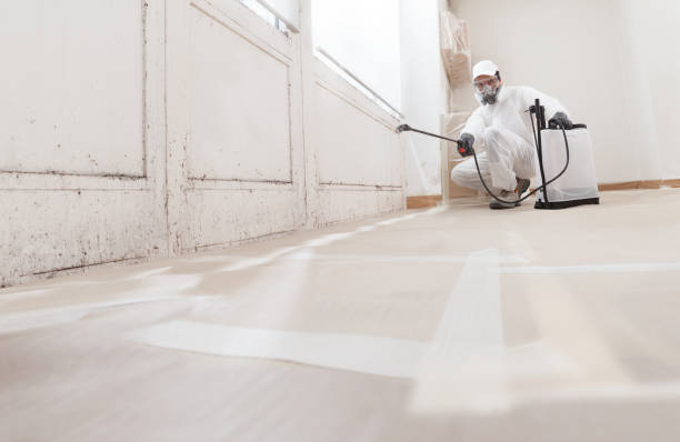 24/7 Emergency Mold Removal experts in Morrisville, NC